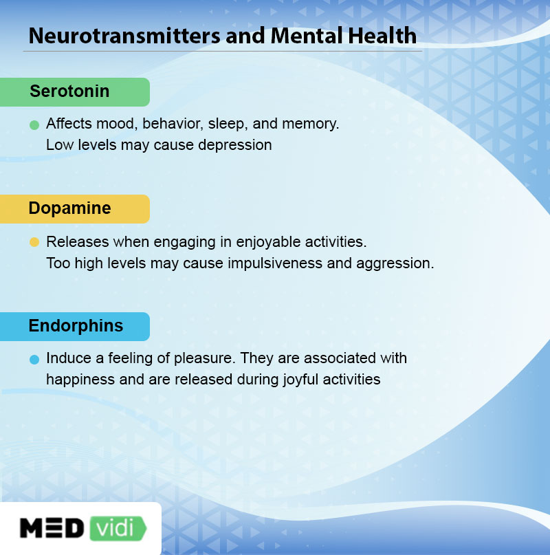 What do neurotransmitters do