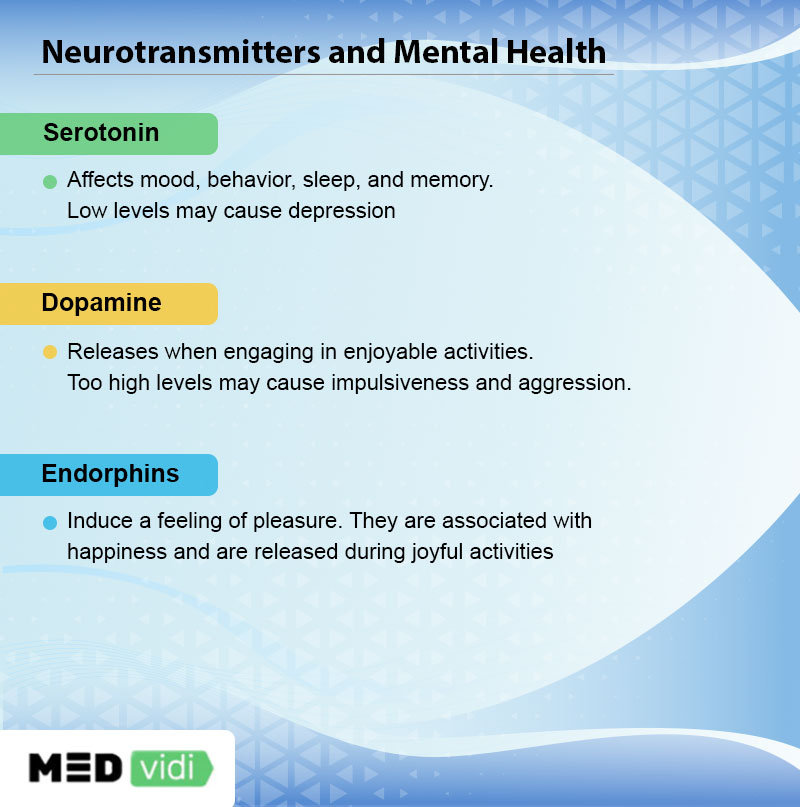 neurotransmittersandtheirfunctions