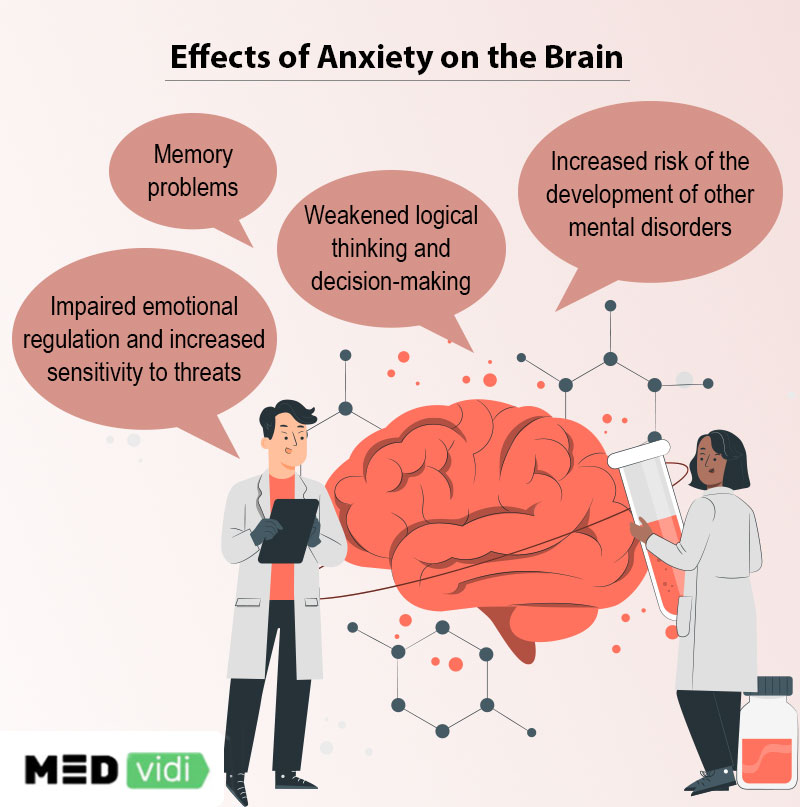 How Does Anxiety Affect the Brain - MEDvidi