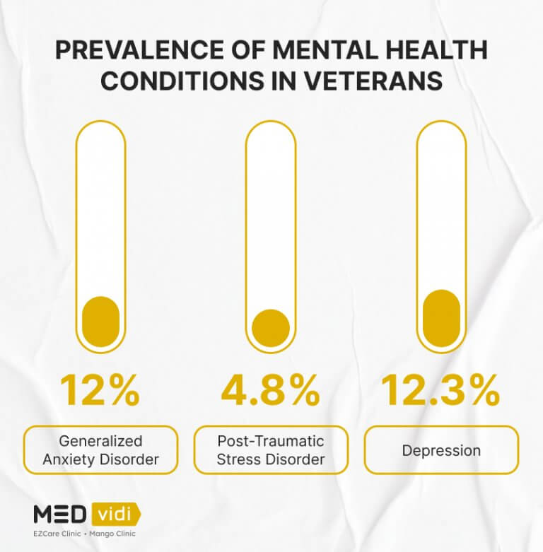 Veterans’ Mental Health: Common Issues And Latest Statistics - MEDvidi